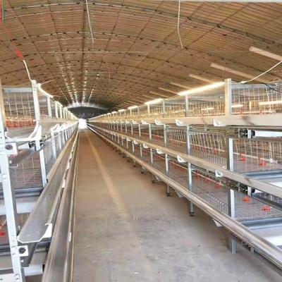 China Cultivate Chinese Product H Shape Factory Brood Chicken Battery Farm Equipment Automatic Cage Plans For Poultry Farm for sale