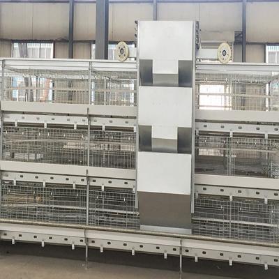 China Full Automatic Farms Chicken Farm H-frame Style Battery Layer Chicken Cage System For 120 Birds With Automatic Feeding System for sale