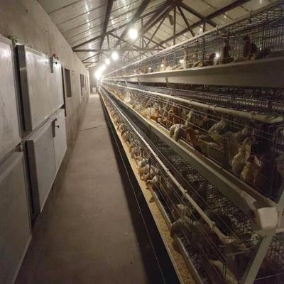 China Cultivate Full Automatic Form Hen Farm Equipment Chicken Layer Cage System For Chicken Cage In Pakistan for sale