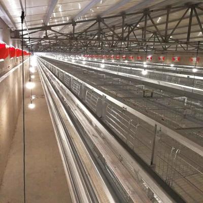 China Poultry Farm Poultry Farm Equipment Animal Laying Machine Full Automatic Battery Chicken Cages Egg Layer House System For Sale In Nigeria for sale