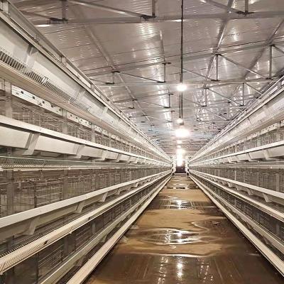 China Farms Hot Dip Galvanized Materials 4 Rows Laying 50000 Eggs Automatic Hen Cage Battery Chicken Farm Nest Equipment For Sale In Nepal for sale