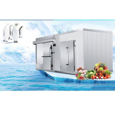 China 20ft Wholesale Cold Storage Room Vegetables Freezer Container Cold Room Waterproof For Sale for sale