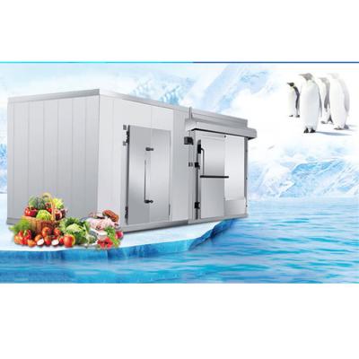 China Wholesale Custom Industrial Low Temperature Waterproof Cold Storage Supplier for sale