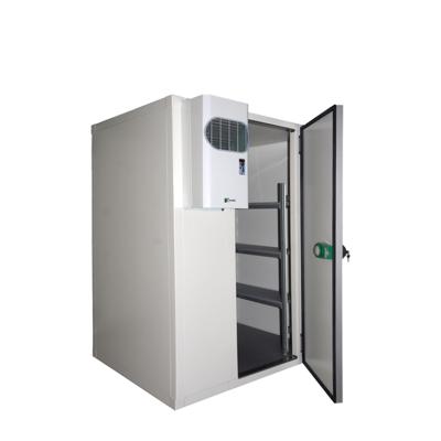 China Eco-friendly high quality restaurant cold storage commercial cold room, walk in refrigerator, freezer room for sale