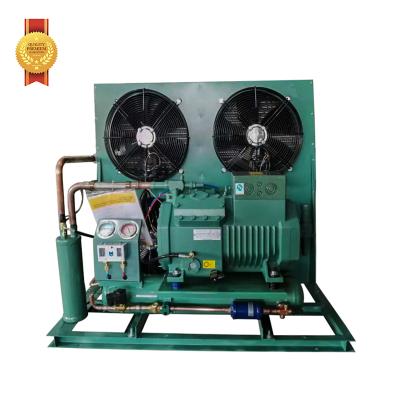 China JZ02 Hotels Low Temperature 3 8 Hp R404A Open Type Condensing Unit Walk In Cooler And Evaporator For Cold Room for sale