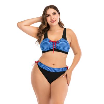 China Plus Size Bikini Manufacture Designer Swimsuits Famous Brands Toddler Swimwear Sets Plus Size Swimsuits for sale