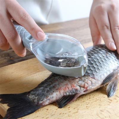 China Viable Kitchen Fish Skin Brush Scraping Fishing Scale Quick Sweep Remove Fish Scale Skin Remover for sale