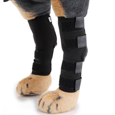 China Hot Selling Viable Pet Supplies Wholesales Prevent Common Injury Wrap Extra Support Dog Elbow Protector Pets Knee Protection for sale