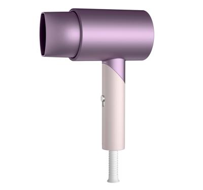 China Hot Selling Collapsible Hair Care And Styling Appliances Blow Dryer for sale