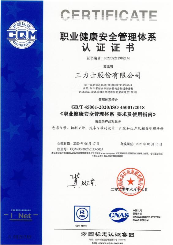 ISO 45001 - Baoding Doring Electronic Commerce Co., Ltd.