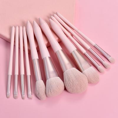 China A Variety Of Makeup Brushes Can Meet Daily Needs High Quality 11PC Private Label Makeup Brush Set Luxury Soft Professional Custom No Logo Pink Make Up Brush Set With Bag for sale