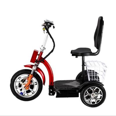 China Iron Self Balancing Fat Tire Motor Battery Removable For Adults For 2021 Older Wheel Bike Tricycle 3 Electric Scooter for sale