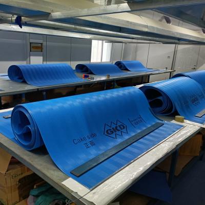 China De-slim Customization Factory Polyester Press Filter Belt Conveyor Dewatering Belt For Sludge Dewatering for sale