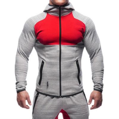 China Men's Breathable Solid Color Contrast Sports Hoodie Zipper Front OEM Service Gym Activewear Lightweight Sweatshirts for sale