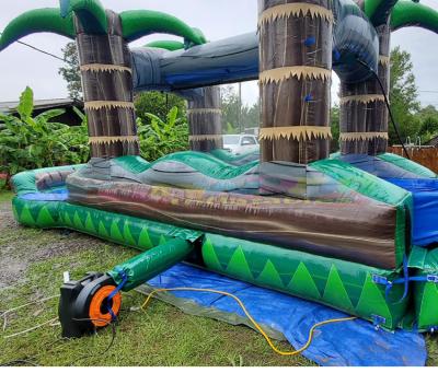 China New Design Waterslide Jumpers Outdoor Inflatable Water Slide Bouncer Tropical Green Entertainment Slip n Slide for sale