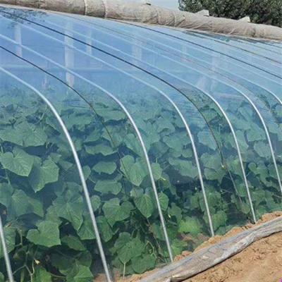 China 100% Tear Resistant Custom Thickness Agricultural Plastic Poly Material LDPE Film New Agricultural Film for sale