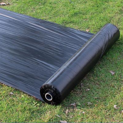 China Custom Tear Resistant Greenhouse LDPE 200 250 Microns Covering Plastic Mulch Film Agriculture For Vegetable Planting for sale