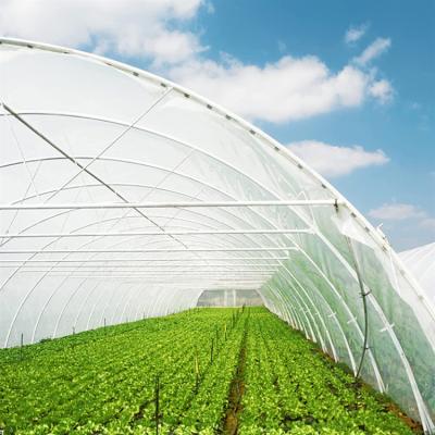 China Agriculture Tear Resistant Plant Transparent LDPE Shrink Film Roll Stretch Greenhouse Film For Planting for sale