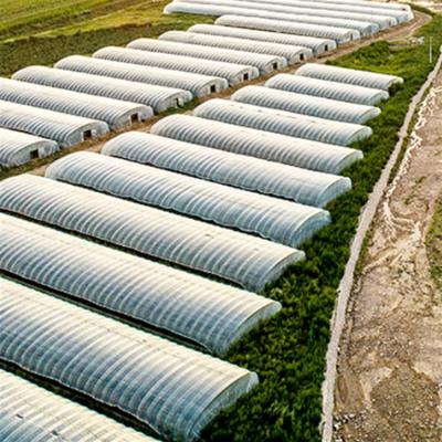 China Polypropylene Agriculture Film Mulch LDPE Tear Resistant Greenhouse UV Protective Plant Cover for sale