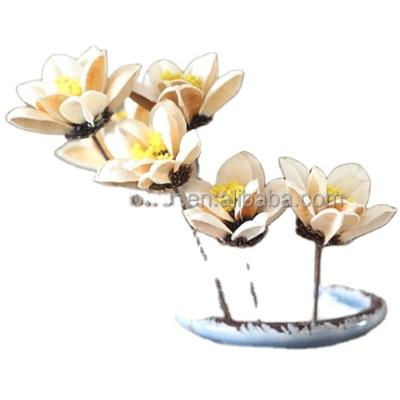 China Dry flower by craft project for table desk decoration for sale