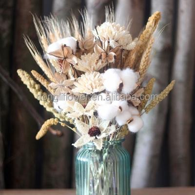 China Natural Wheat Grain Cotton Ball Chrysanthemum Flower Group Of Gifts For Hotel Centerpieces for sale