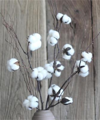 China Natural Decoration Cotton Boll Cotton Stem Stem Spray China Wholesale for sale