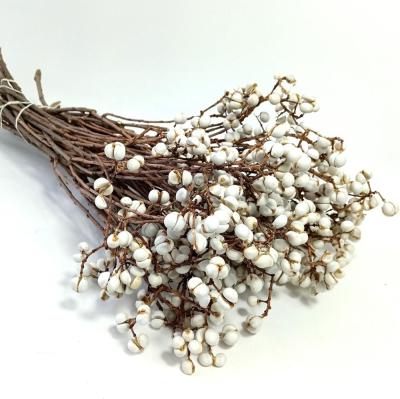 China Natural Plant Dried Natural Tallow Berries Stems White Plant Flowers for sale