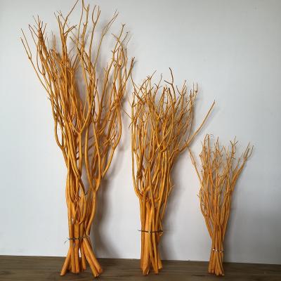 China Opens natural 60-120cm Mitsumata branches for lobby decoration for sale