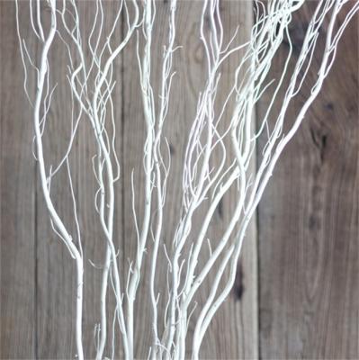 China Natural Curly Craft Willow Branch Twigs 45 in. length for sale