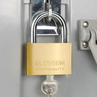 China Application BC16 60mm Brass Padlocks Candado Lock Protection Candados Gold Padlock Copper Door Commercial Customizable Dozens Wide Padlocks for sale