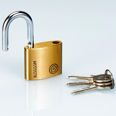 China Pro Lock 70mm Padlock Candado Factory Flower Application 60mm Big Candados Padlock Chinese Heavy Duty Brass Padlock Wide Large for sale