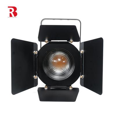 Китай LED Fresnel Spot Light 3000K-6000K For Dj Club factory продается