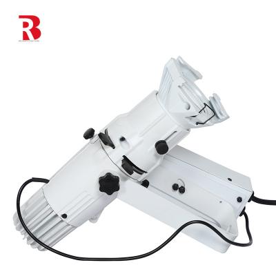 China WW CW 2 en 1 Spot reflector elíptico LED blanco 20W para la fiesta en venta