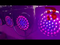 RGBW Zoom Wash Big Bee Eyes Nightclub Party Disco DMX Stage Light