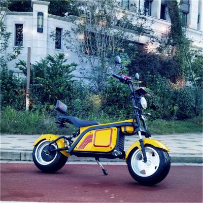 China Carcass Unisex Electric Scooter Electric Bike 2000W 2000W Electric Bike With EEC for sale