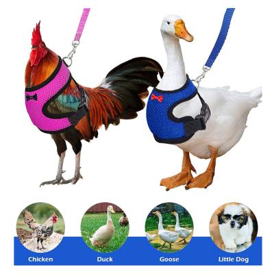 China Small Viable Pet Mesh Soft Harness With Leash Animal Vest Advance For Chicken Adjustable Rope With Leash And Matching Belt Hen Pet Vest for sale