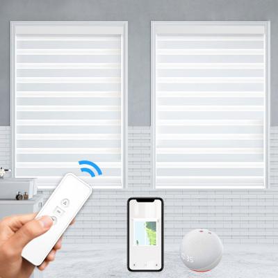 China CLASSIC wifi day and night dual layer remote motorized desk shades electric auto motors motorized window zebra blinds for sale