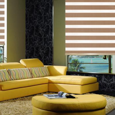 China Fabric Easy Clean Custom Rainbow Smart Motorized Blackout Day Night Window Makers Zebra Blinds for sale