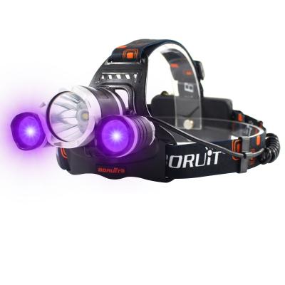 China Good Quality Boruit Purple Light UV Camping Headlight Light For Money Detecting USB Charging Headtorch Waterproof for sale