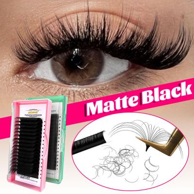 China glitter & Abonnie Shimmery Lash Trays 005 Russian Matte Dark Individual Mink Eyelash Extension Private Label 003 Volume Eyelash Extensions for sale