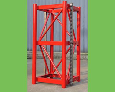 China OEM standard section for construction elevator export for sale