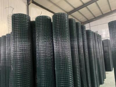 China Woven 1 X 1 Galvanized Welded Wire Mesh For Bird Cage / Rabbit Cage / Animal Cage zu verkaufen