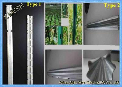 China Vine Plants Vineyard Grape Stake Steel Trellis Posts Hot Dipped Galvanized for sale