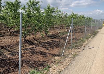 China 6-Ft X 50-Ft 11.5 Gauge Chain Link Fence Fabric Of Galvanized Steel CE Passed for sale