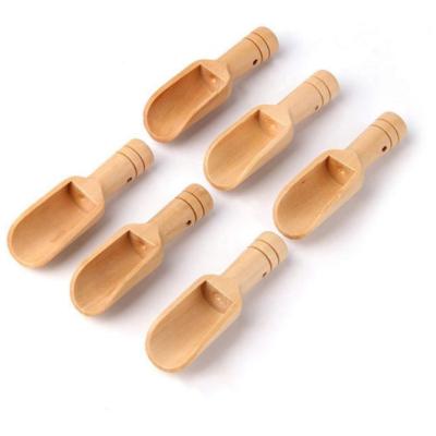 China Hot Product Eco-Friendly Stocked Mini Wooden Salt Measuring Spoon Small Scoops For Bath Salts Coconut Bamboo Small Scoop for sale