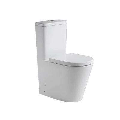 China C50005 Wholesale EUROPEAN Wholesale High Quality Washdown One Piece 180mm P-trap 250mm Strap Toilet for sale