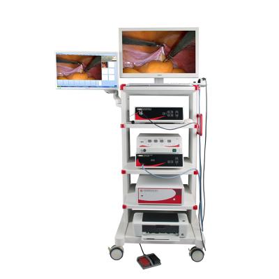 China diagnostic veterinary & veterinary surgery endoscopy camera tower for laparoscopy/veterinary endoscopy for sale