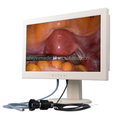 China T2AL 250V AC AIO laparoscopic medical monieor, HD endoscopy camera 1080P and LED cold light source for sale