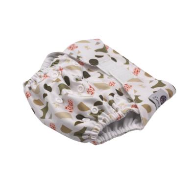 China Factory Cost Cloth Diaper 2022 Printed Cloth Diaper Covers Hook And Loop Design For Babies for sale