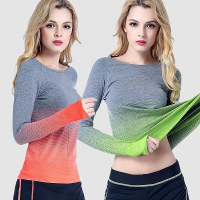 China Breathable Sports Long Sleeves Gradient Sports Shirt T-shirt Running Gear Female Yoga Wear Autumn Dry Winter Round Collar Fitness Clothing for sale